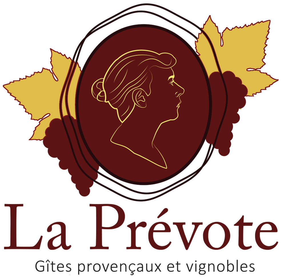 Histoire de la pre vote 1